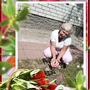 ���� ����, ������, 69 ��� - ��������� 26 ���� 2020 � ������ ���� ����������