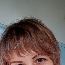 ��������, ������������, 51 ���