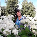 ���� Elena, �����-��������� - ��������� 24 ���� 2020 � ������ ���� ����������