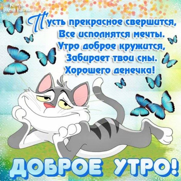   ,    . - 13  2020  21:37