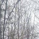 ���� ���������, �������, 37 ��� - ��������� 27 ��� 2020 � ������ ���� ����������