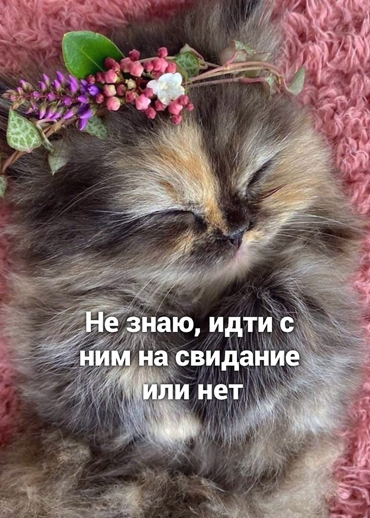   ,         !