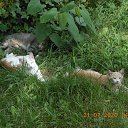 ����! ����� �� �������. �� ������� ���������� ����!�