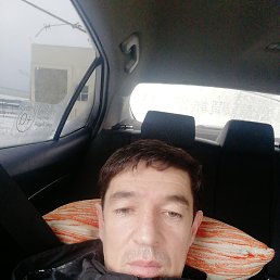 ������, ������, 46 ���