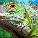 ��� ����� �� ������� ���� ����������