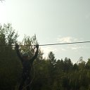 ���� �����, ������ - ��������� 21 ������ 2020 � ������ ���� ����������