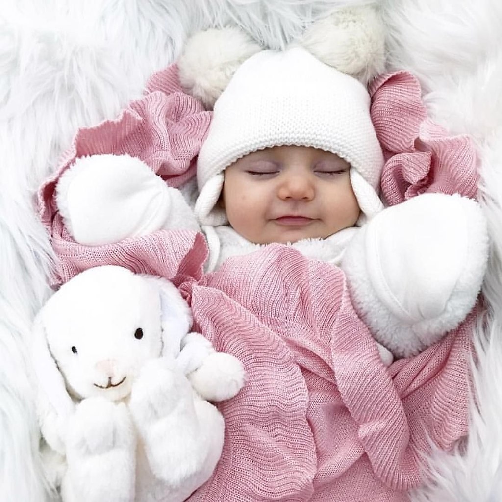    -  .  ,   ,      ... - 6