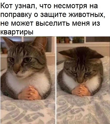 �������� ��������� - 23 ���� 2020 � 19:10