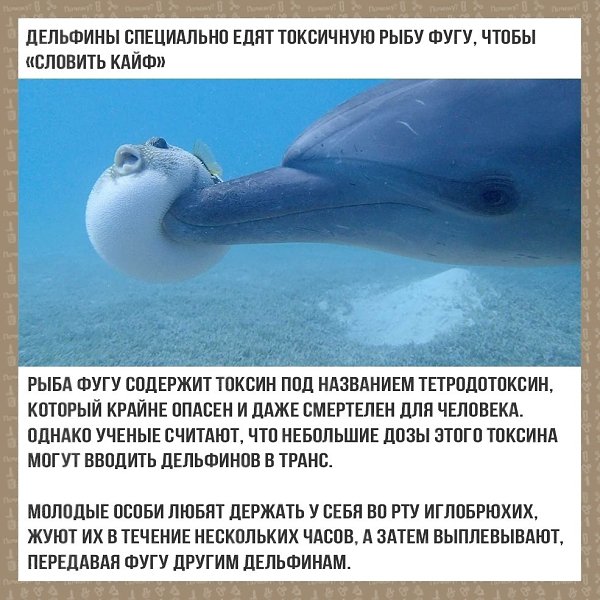 LIFE -  - 26  2020  19:52