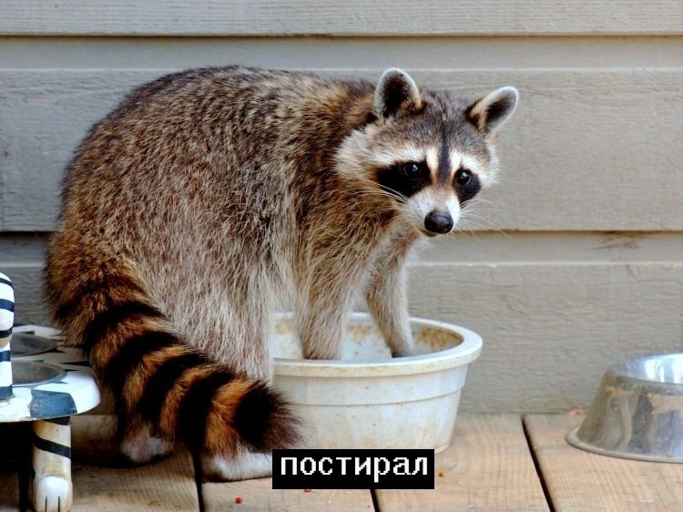 ,    - 3