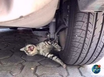  o e ap e capa! # - 2