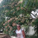 ���� �������, ������ �������� - ��������� 6 ����� 2020 � ������ ���� ����������