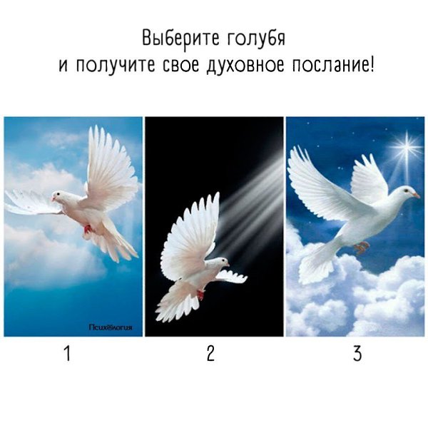 Пишите в комментариях номер, который Вы выбрали.И читайте ответы на тест в комментариях под этим ...