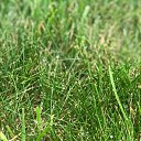 ���� �����, ���������, 54 ���� - ��������� 18 ���� 2020 � ������ ���� ����������