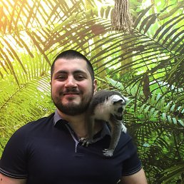 , 30, 