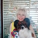 ���� ����, �����-��������� - ��������� 14 ���� 2020 � ������ ���� ����������