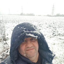 ������, �������