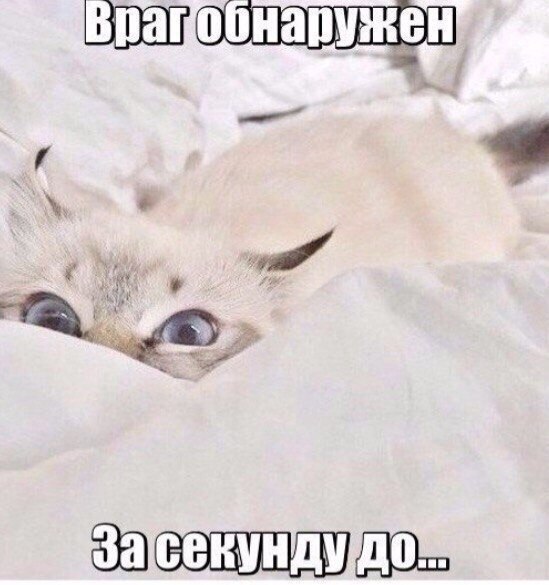    - 22  2020  20:42