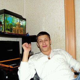 ���, ������, 37 ���