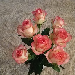 ������, ���������