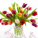 ���� ������, ���������, 54 ���� - ��������� 11 ������ 2020