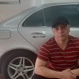 ���� ������, ����������, 48 ��� - ��������� 25 ����� 2020