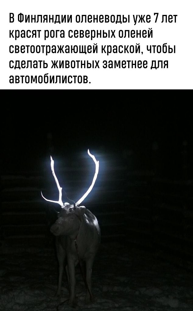   o o     