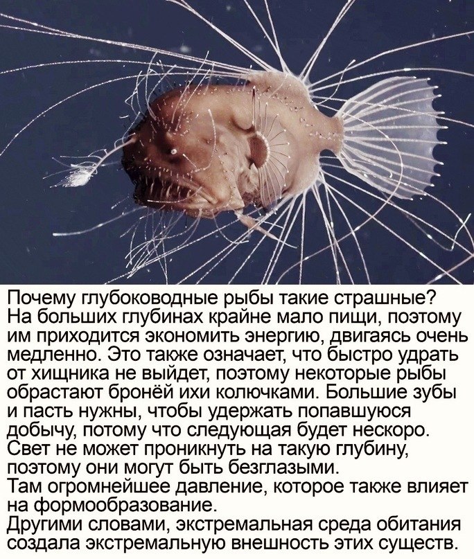 TECHNOLOGY -   - 3  2020  20:39
