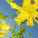 ���� ����, ������, 73 ���� - ��������� 19 ������� 2020 � ������ ���� ����������