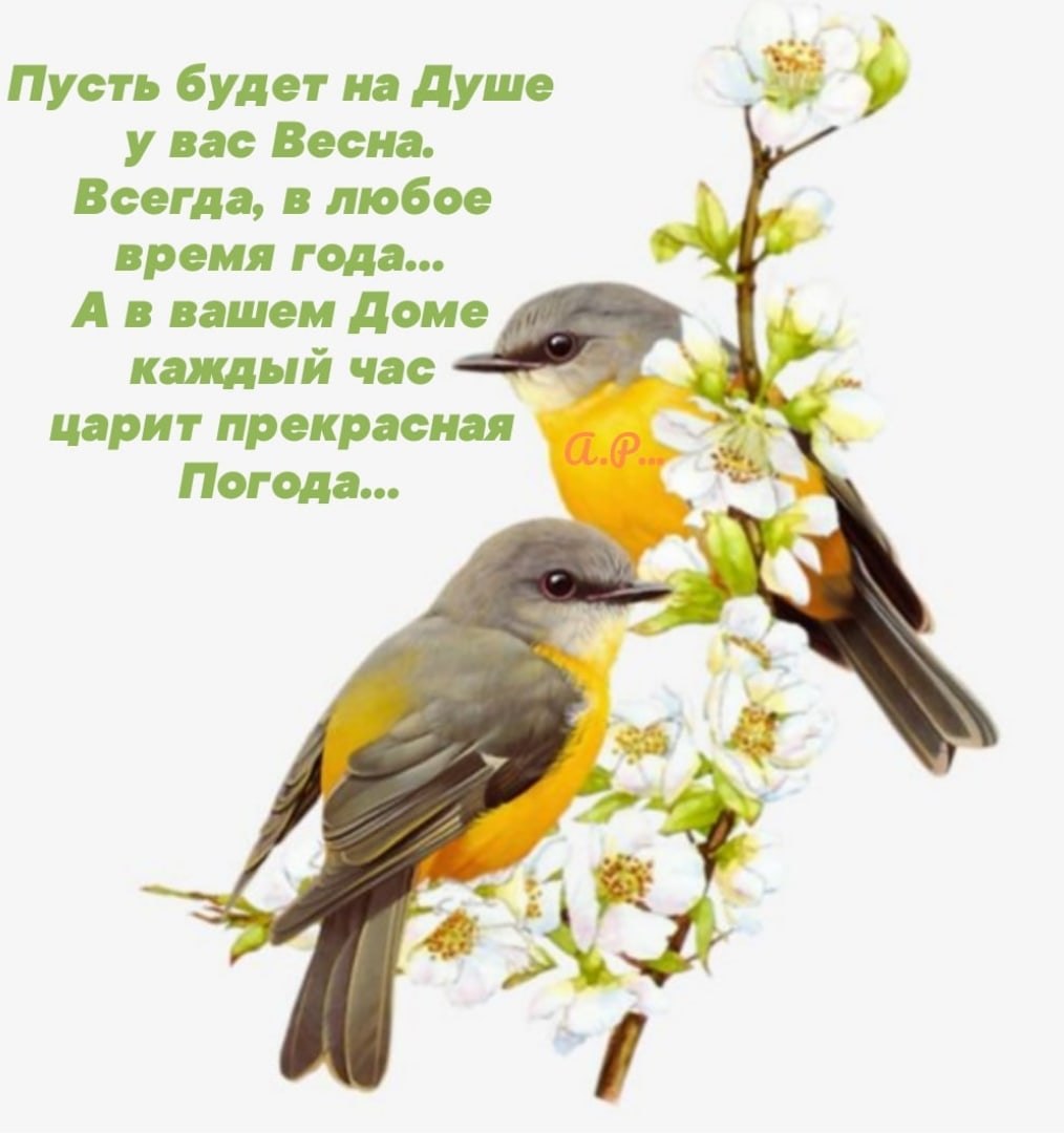  - 10  2020  07:04