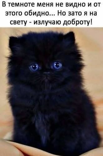   ,    . - 18  2020  20:11