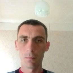 ����, �����-���������, 47 ���