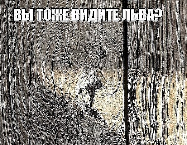 ~