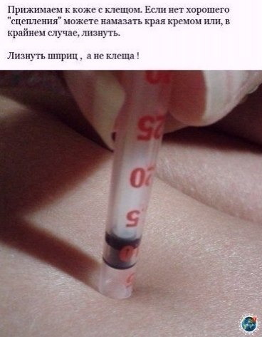 e e aa, oo o oe aa: - 7