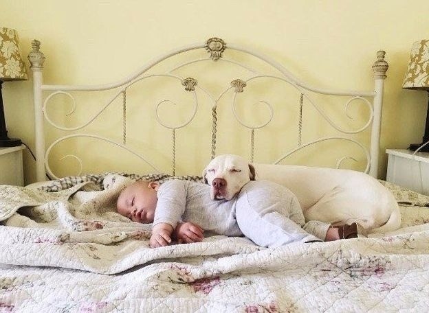 ����� ��c��� ������� ���c�� �� ������p�� � �� ���x ����c�, �� c ���� 11-��c����� ������� o� ... - 2