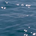 ���� ���������� ��������, �������, 50 ��� - ��������� 18 ������ 2020 � ������ ���� ����������