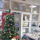 ���� ��������, ��������, 49 ��� - ��������� 11 ������ 2020 � ������ ���� ����������