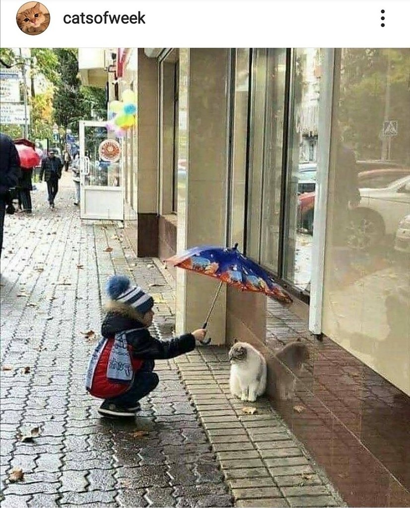    ....   