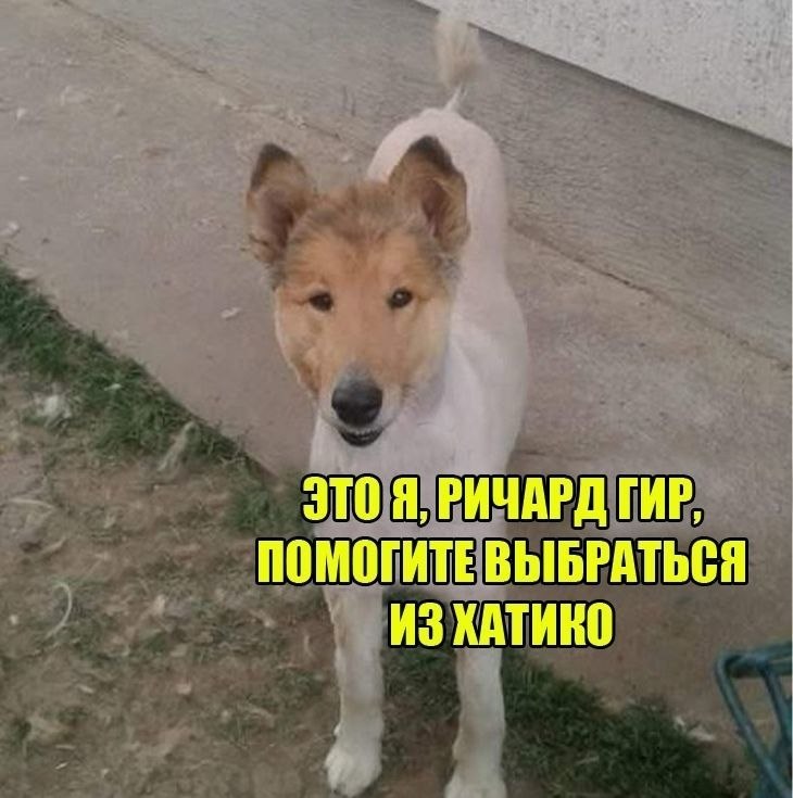   ?