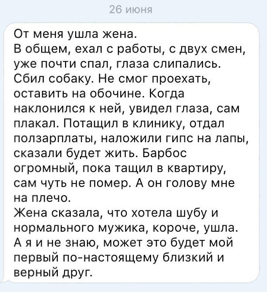По-моему, неравноценный обмен, собака бы не ушла, если принести домой девушку)