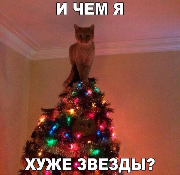   - 10  2020  18:47