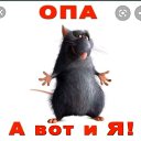 ���� ��������, ����������, 43 ���� - ��������� 3 ����� 2020 � ������ ���� ����������