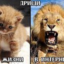 ���� �� �������� ������ ����, ������ - ��������� 10 ������� 2020 � ������ ���� ����������