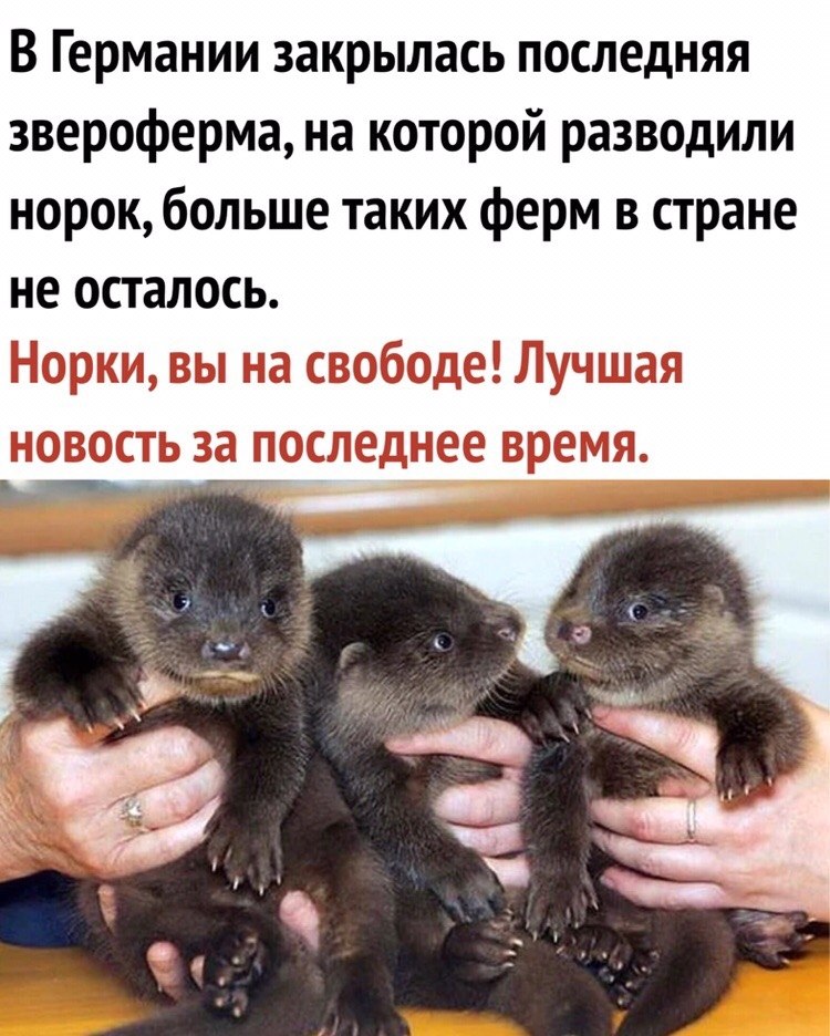     !
