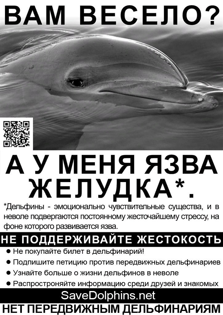 Дельфин я буду жить текст. Против дельфинариев. Дельфины в неволе. Дельфинарий жестокость. Реклама против дельфинариев.