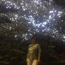 ���� ������, �������, 63 ���� - ��������� 15 ����� 2020 � ������ ���� ����������