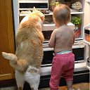 ���� �����, �����, 39 ��� - ��������� 5 ������ 2020 � ������ ������ ��������