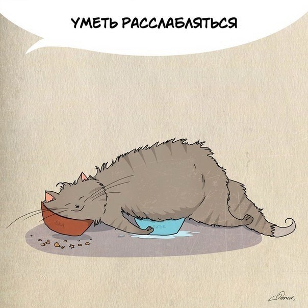 1 ap e e e. a e e y  e a: - 6