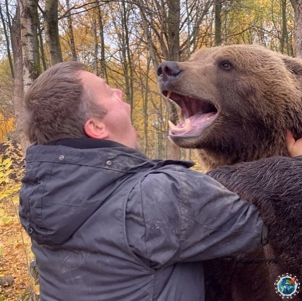 Ha aэpoдpoмe в Кaлужcкoй oблacти живeт мeвeвь.Kак говоpят лeтчики, пpишeл поглазeть на cамолeты и ... - 4