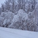 ���� �����, ������, 62 ���� - ��������� 13 ������ 2020 � ������ ������ ��������